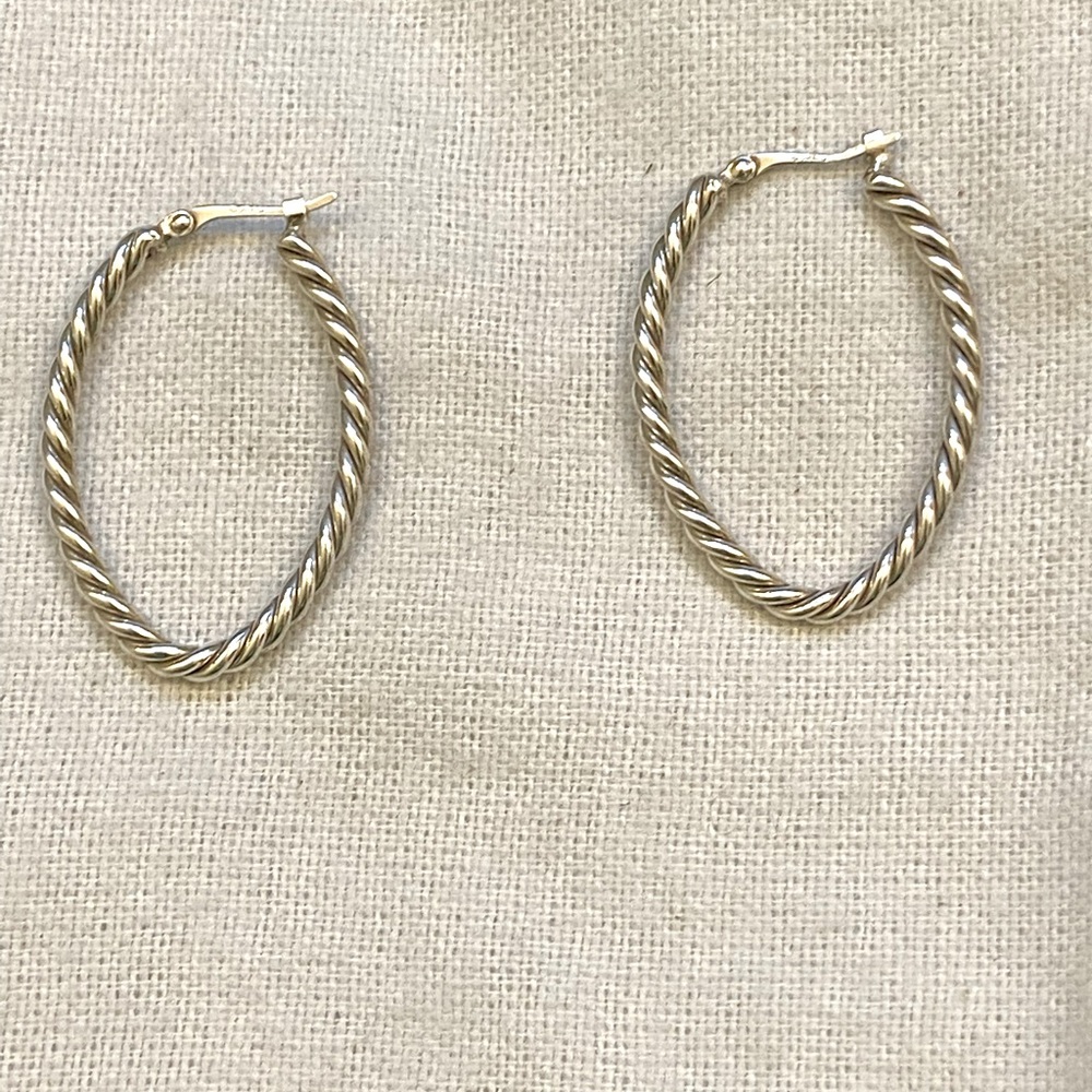 Nancy B Earrings